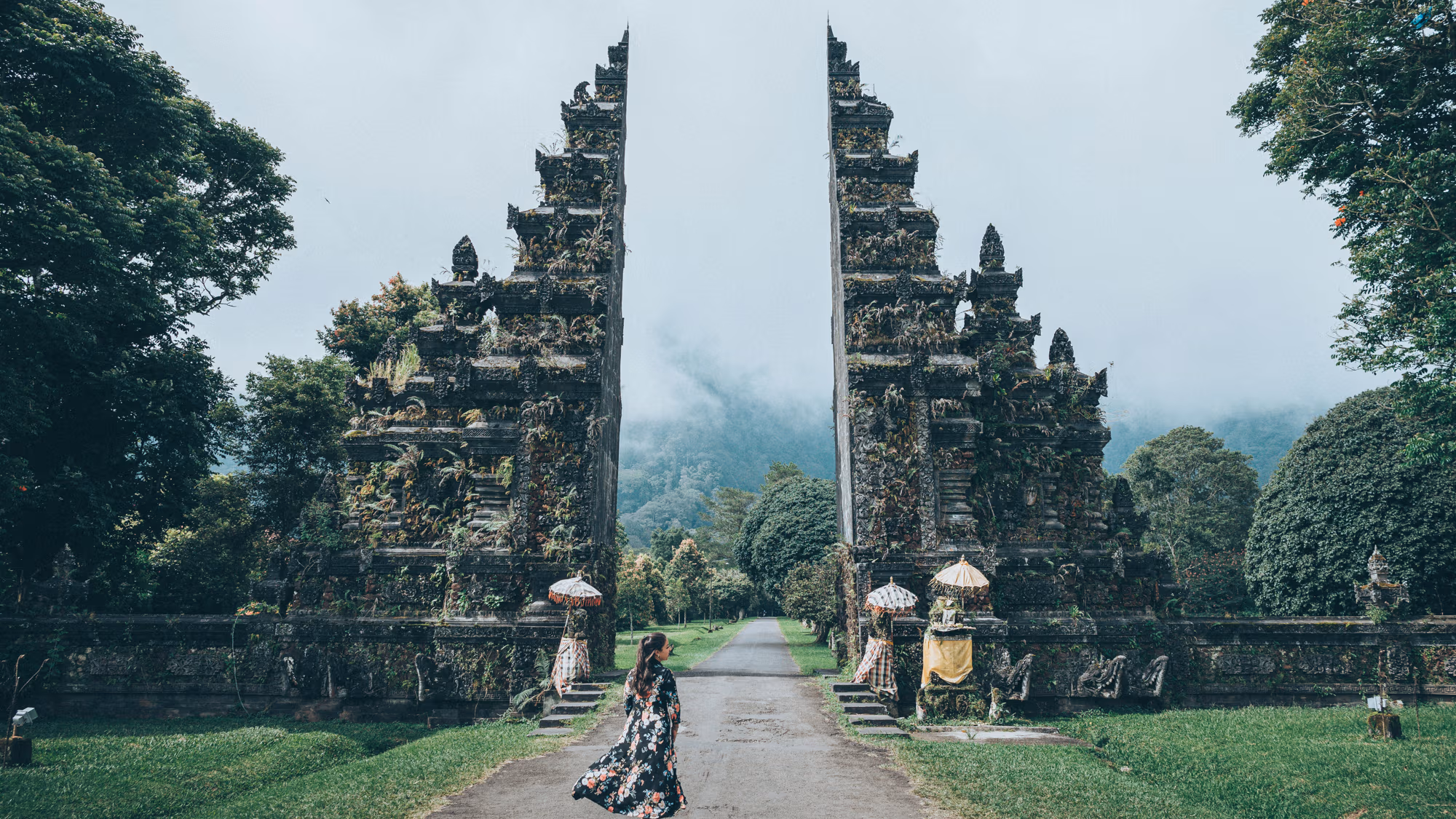 Bali rice terraces